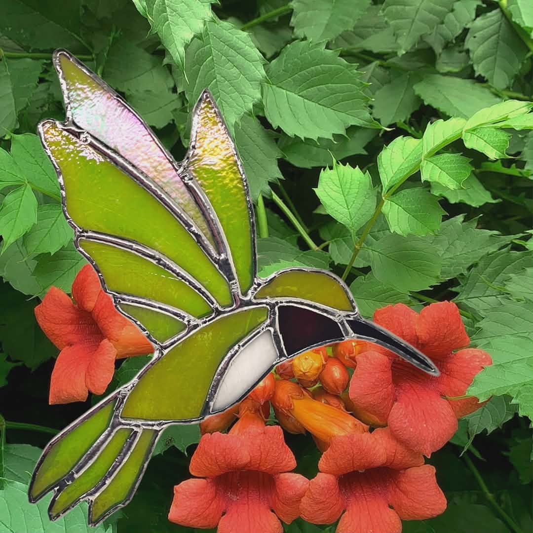 8/1/2026 • 12:00-2:30 PM — Stained Glass - Oriole/Blue/Hummingbirds, Butterfly